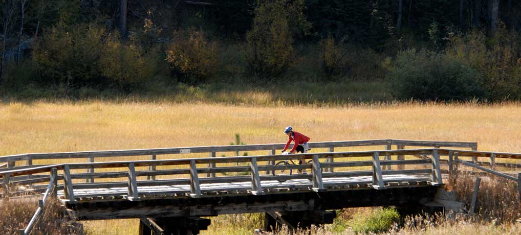 Mickelson Trail
