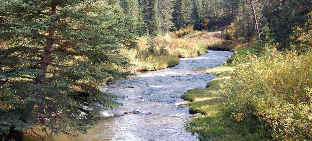 Mickelson Trail Lodging Places We Love